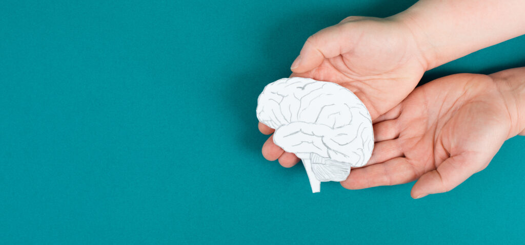 türkiser Hintergrund vor dem zwei Hände die ein Gehirn in Modellform halten zu sehen sind