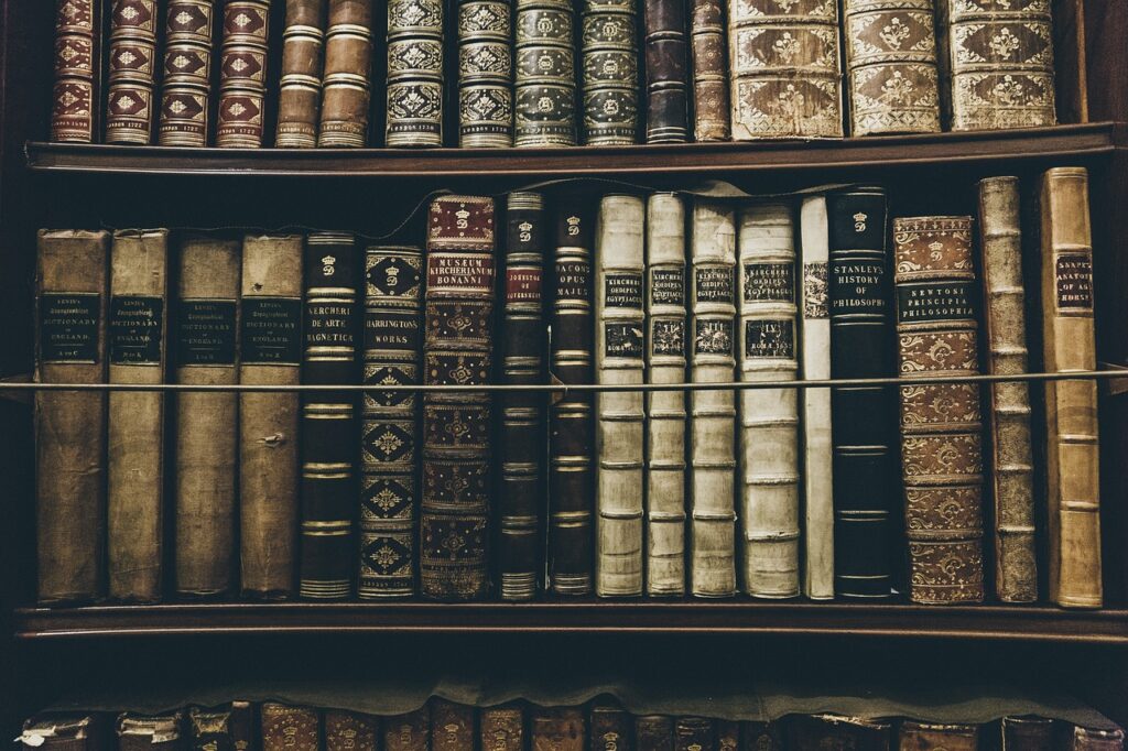 Ein ruhiger Lesesaal mit alten Büchern symbolisiert das literarische Werk der Nobelpreisträgerin Anne Carson – Foto: StockSnap / Pixabay