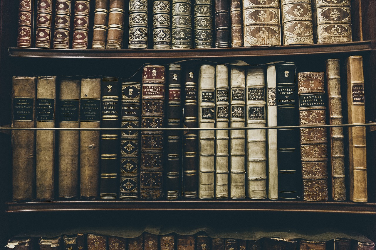 Ein ruhiger Lesesaal mit alten Büchern symbolisiert das literarische Werk der Nobelpreisträgerin Anne Carson – Foto: StockSnap / Pixabay