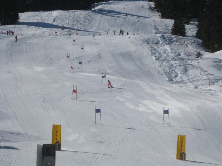 Ein leerer alpiner Skirennhang mit aufgestellten Torstangen symbolisiert den Rückzug von Markus Waldner aus dem Ski-Weltcup – Foto: andy3d / Pixabay