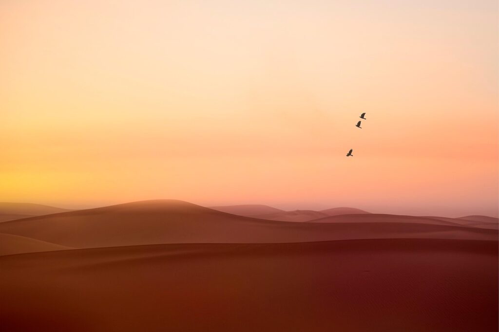Ein aufgeschlagenes Buch liegt auf einem Felsen in der Wüste, sinnbildlich für das Kritik-Experiment von Matthew McConaughey – Foto: ELG21 / Pixabay